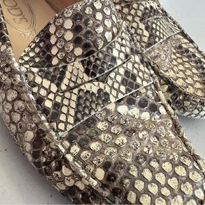 Women's Snakeskin Loafers - Tod’s Gommino - Black and Cream